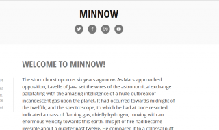 Minnow desktop view