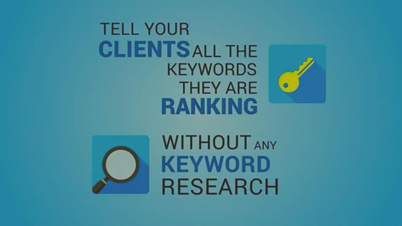 SEO Rank