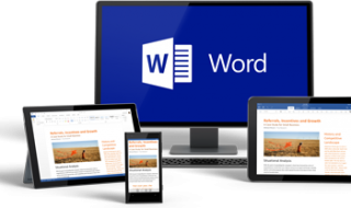 MS Word Tutorial Guide