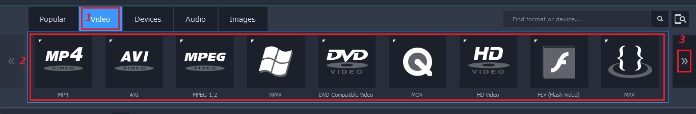 video format