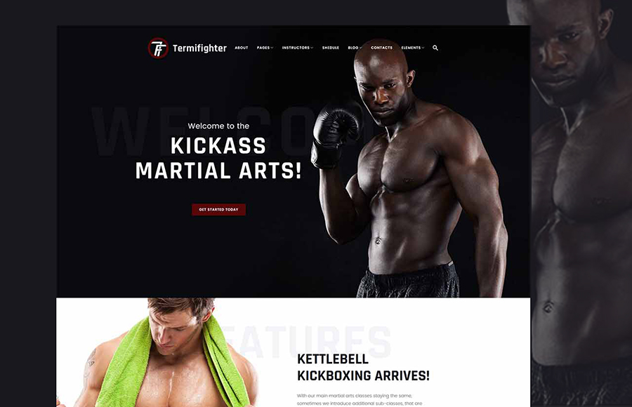 Mma WP Theme 