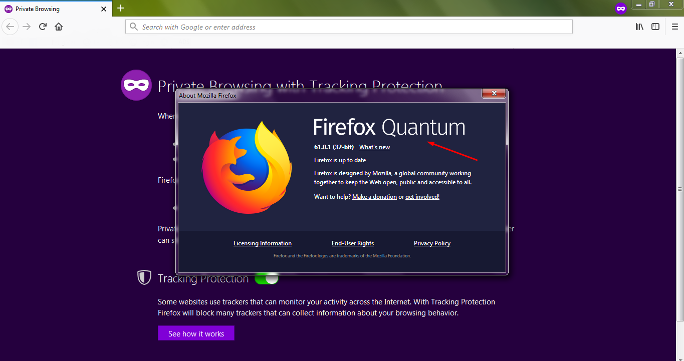 C:\Users\Winwows 7\Desktop\Mozilla Quantum.png