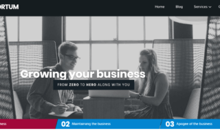 business website theme