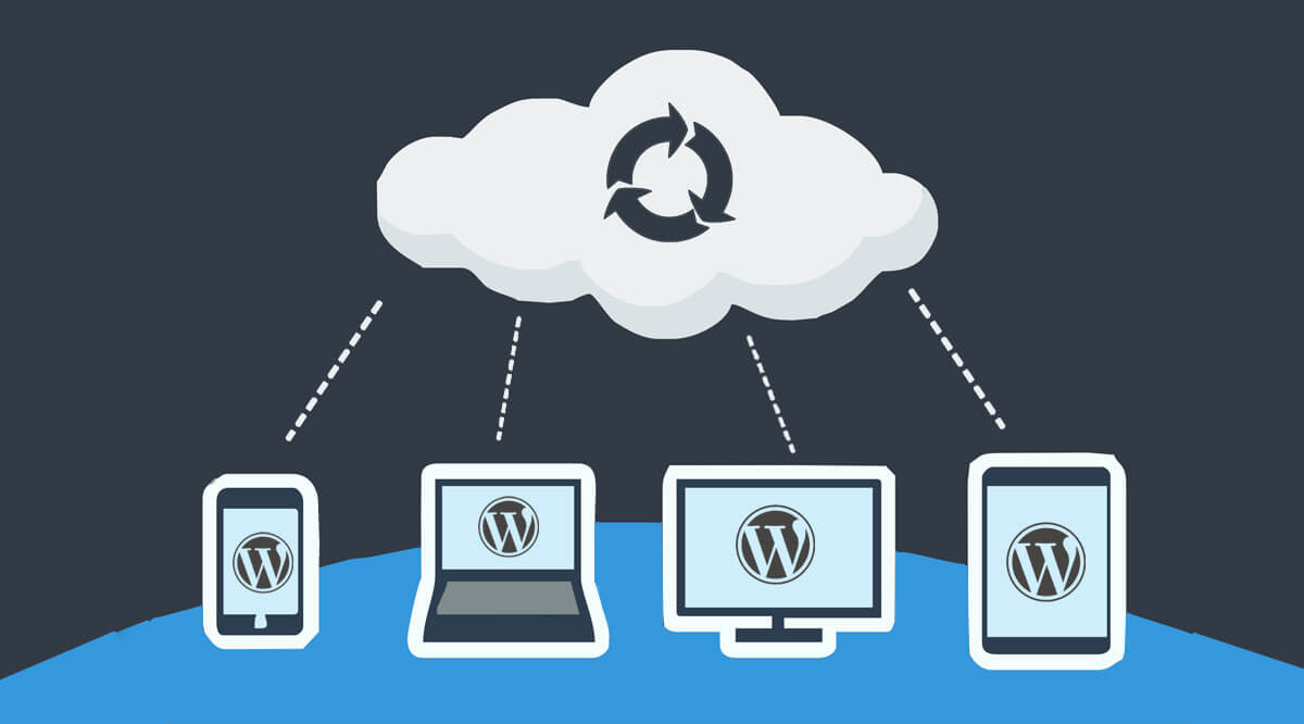 https://www.proteusthemes.com/wp-content/uploads/2016/11/auto-wordpress-backup-header.jpg