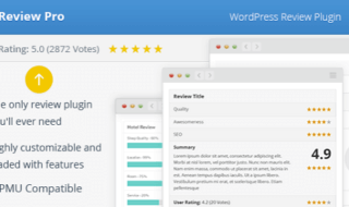 WP Review Pro