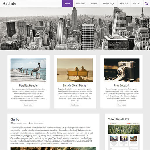 free porfolio WordPress themes - radiate