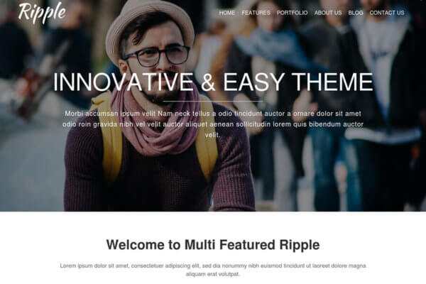 Ripple WordPress