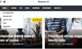 reactor wordpress theme