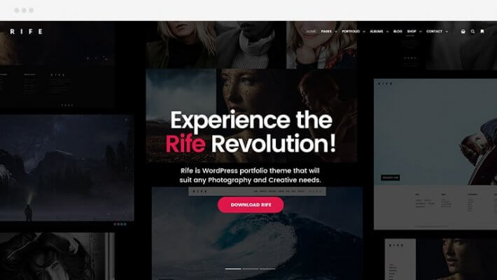 rife free wp theme