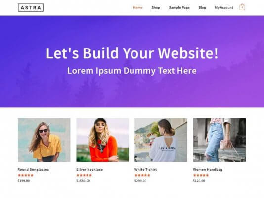 ecommerce wordpress theme