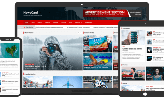 wordpress theme