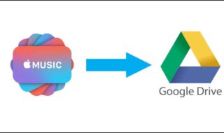 music to google drive