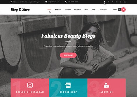 blog and shop