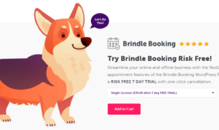 brindle booking