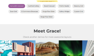 Grace WP plugin Layouts