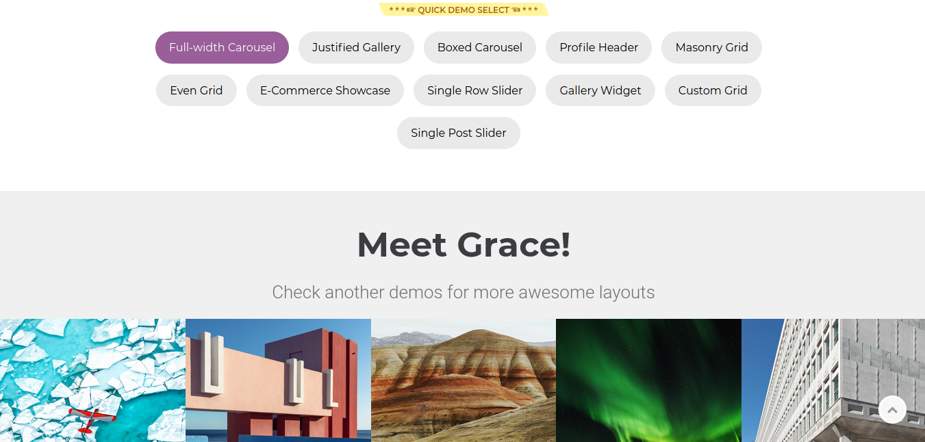 Grace WP plugin Layouts