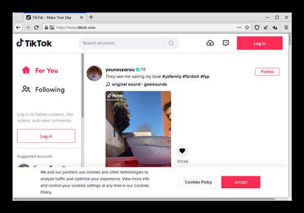 TikTok Official Website