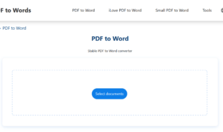 PDF to Word (1)