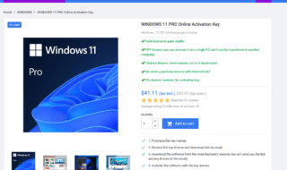 Windows 11 Key (1)