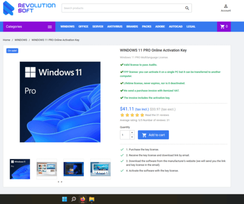 Windows 11 Key (1)