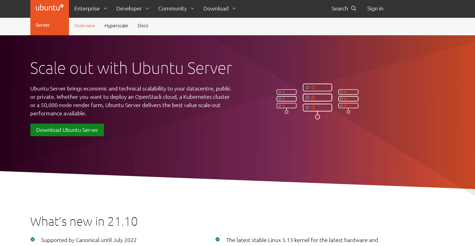 Ubuntu Server OS BlueVPS