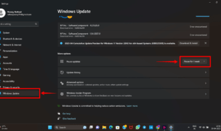 Disable Automatic Update In Windows 11
