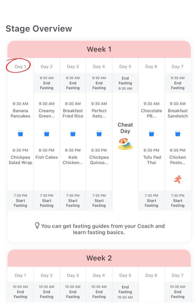 Litely Fasting Plan & Tracker App Review 2024 Your Personalized