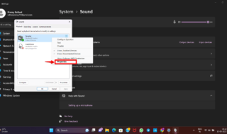 Fix Realtek Audio Issues in Windows 11,10