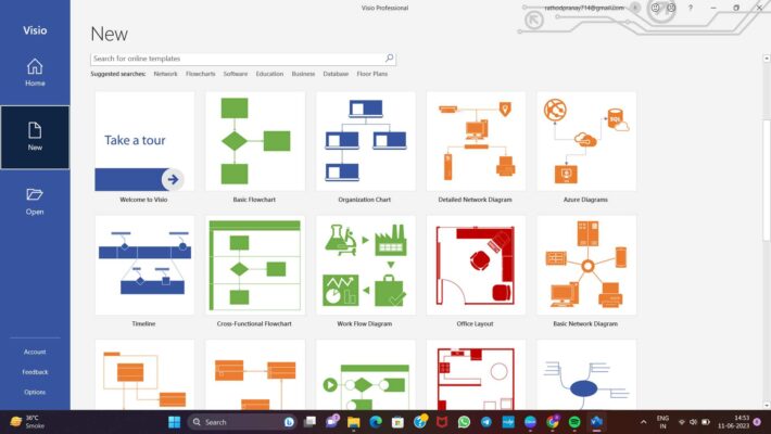 Visio Professional microsoft