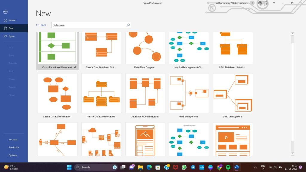Visio Professional Offline Installer 2025 Professional Download ISO IMG