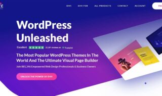 Best Fast And SEO-Optimized WordPress Business Theme For Current Year