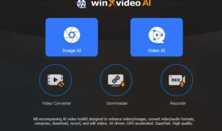 Winxvideo AI