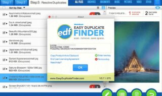 Easy Duplicate Finder™ - Free Download