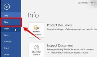 Microsoft Word