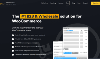 Woocommerce B2B